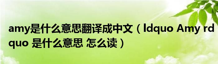 amy是什么意思翻译成中文（ldquo Amy rdquo 是什么意思 怎么读）