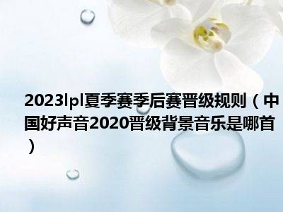 2023lpl夏季赛季后赛晋级规则（中国好声音2020晋级背景音乐是哪首）