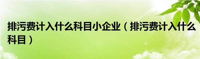 排污费计入什么科目小企业（排污费计入什么科目）