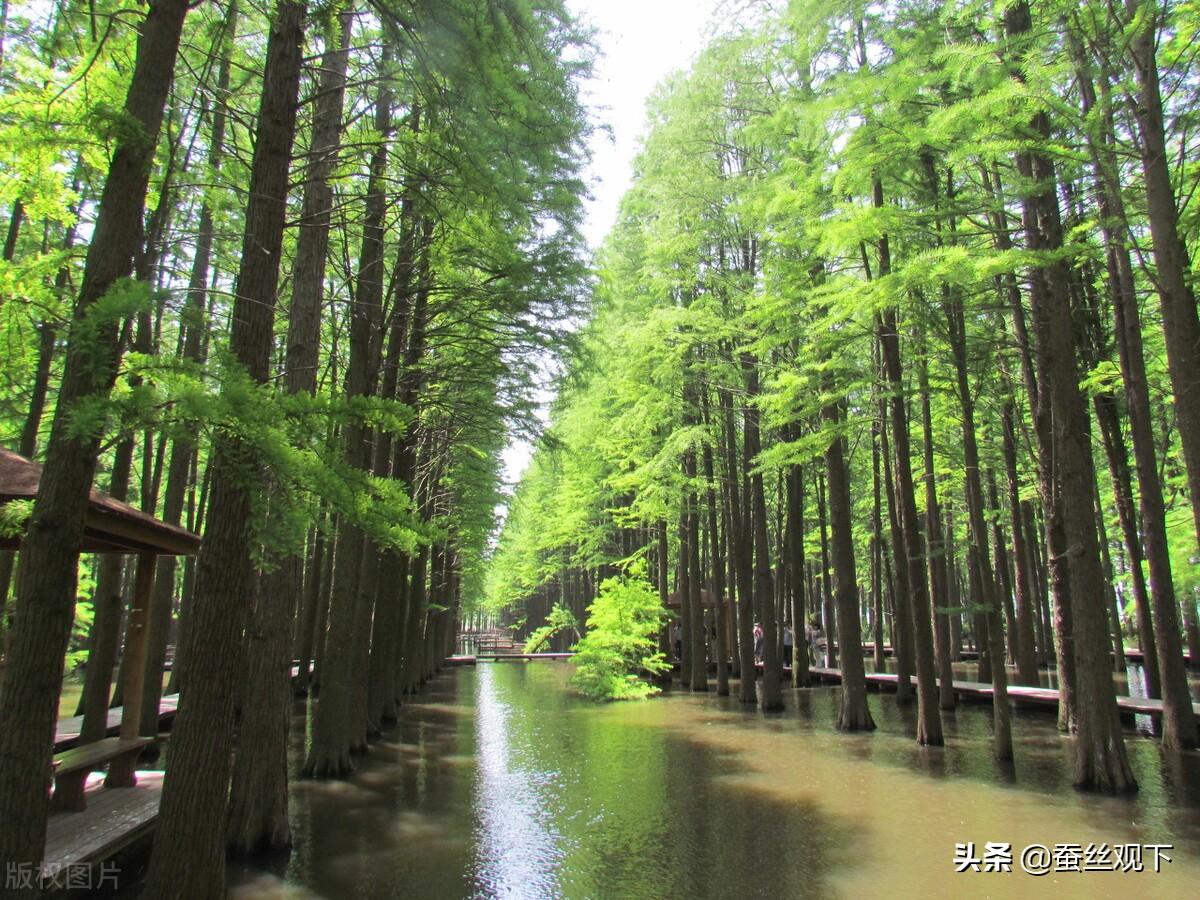 兴化市属于泰州市吗（兴化属于哪个市介绍）(图6)