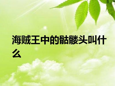 海贼王中的骷髅头叫什么