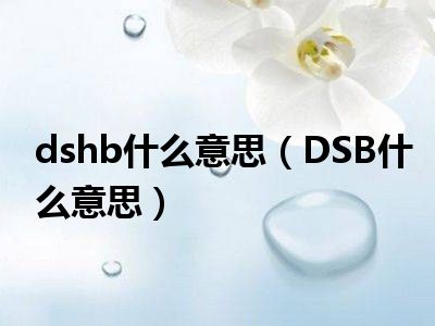 dshb什么意思（DSB什么意思）