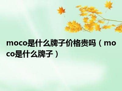 moco是什么牌子价格贵吗（moco是什么牌子）