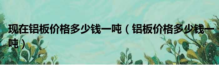 现在铝板价格多少钱一吨（铝板价格多少钱一吨）