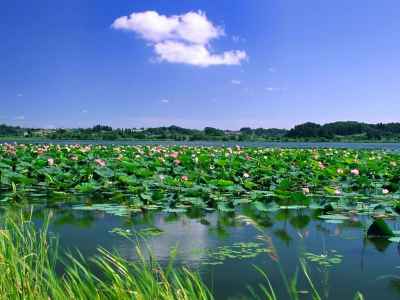 东平湖占地多少亩（东平湖面积有多大）(图2)