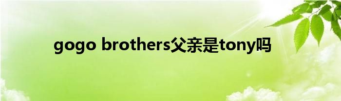  gogo brothers父亲是tony吗