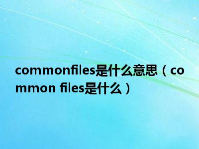 commonfiles是什么意思（common files是什么）