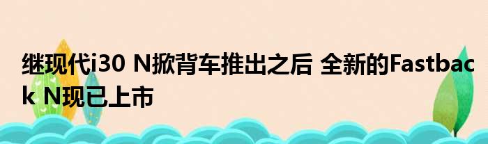 继现代i30 N掀背车推出之后 全新的Fastback N现已上市