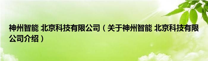  神州智能 北京科技有限公司（关于神州智能 北京科技有限公司介绍）