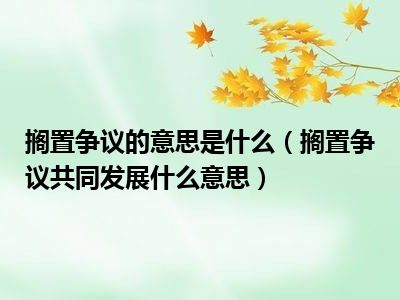 搁置争议的意思是什么（搁置争议共同发展什么意思）