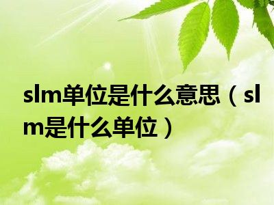 slm单位是什么意思（slm是什么单位）