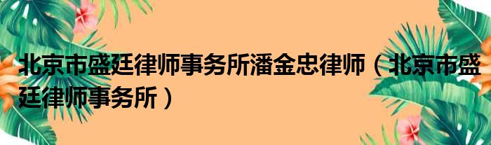 北京市盛廷律师事务所潘金忠律师（北京市盛廷律师事务所）