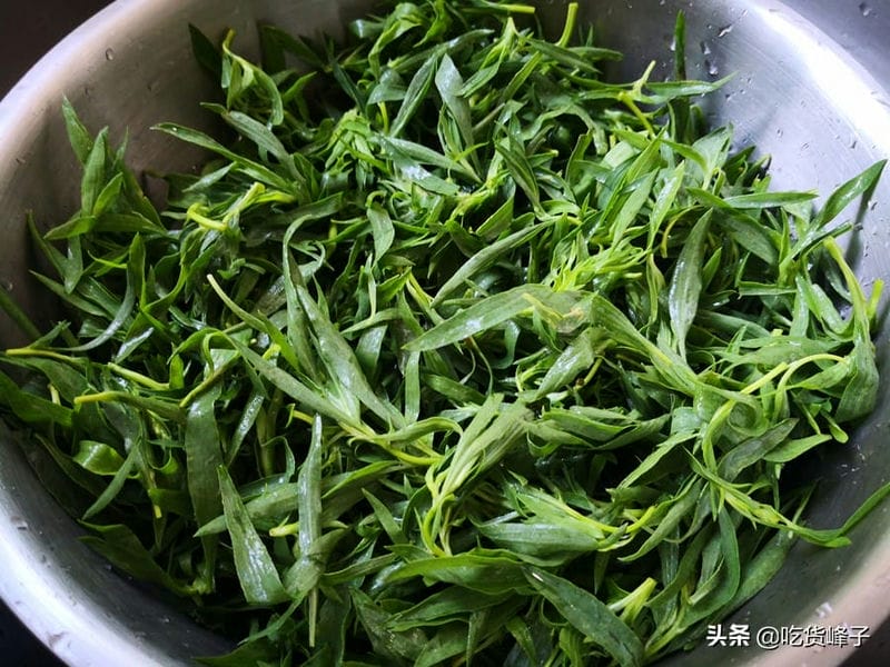 野菜扫帚苗怎么做好吃（扫帚苗又叫什么菜）(图2)