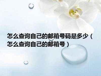 怎么查询自己的邮箱号码是多少（怎么查询自己的邮箱号）