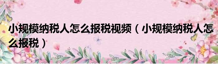 小规模纳税人怎么报税视频（小规模纳税人怎么报税）