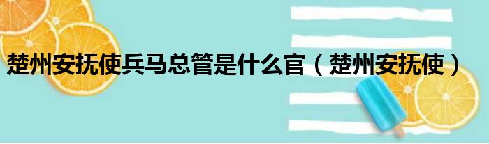 楚州安抚使兵马总管是什么官（楚州安抚使）