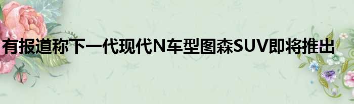 有报道称下一代现代N车型图森SUV即将推出