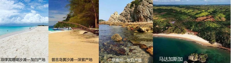 海边的寄居蟹怎么养（寄居蟹寿命一般活多久）(图2)