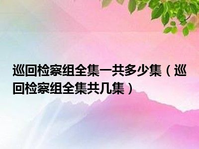 巡回检察组全集一共多少集（巡回检察组全集共几集）