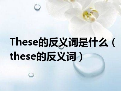 These的反义词是什么（these的反义词）