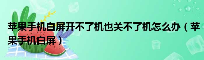 苹果手机白屏开不了机也关不了机怎么办（苹果手机白屏）