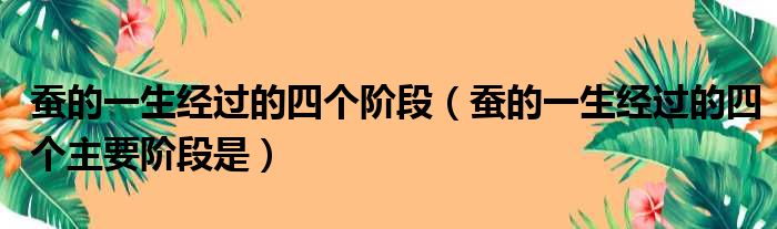 蚕的一生经过的四个阶段（蚕的一生经过的四个主要阶段是）