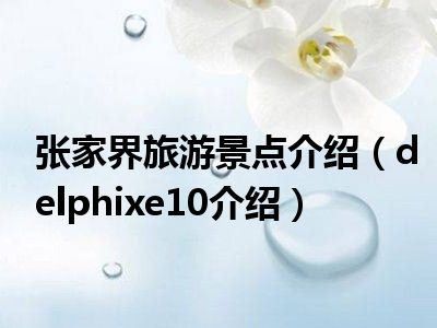 张家界旅游景点介绍（delphixe10介绍）