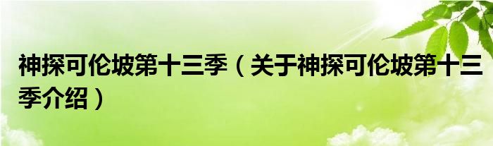  神探可伦坡第十三季（关于神探可伦坡第十三季介绍）