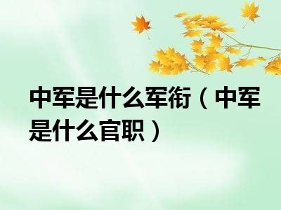 中军是什么军衔（中军是什么官职）