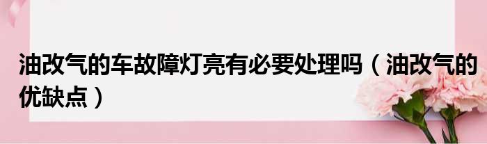 油改气的车故障灯亮有必要处理吗（油改气的优缺点）