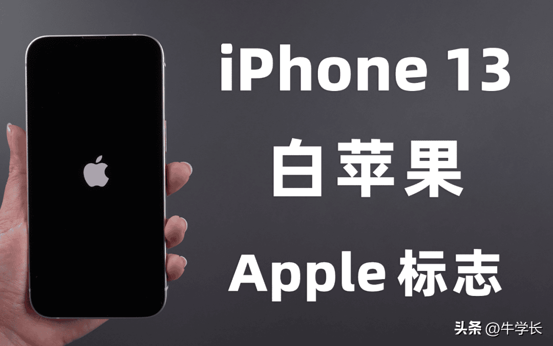 iphone开机卡在logo界面（苹果手机卡在开机界面不动怎么办）(图1)