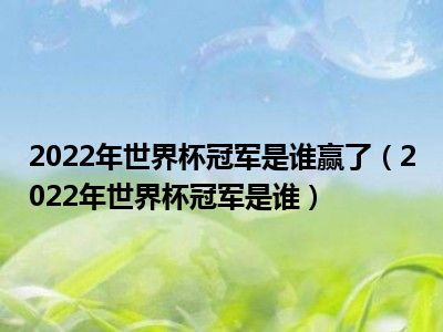 2022年世界杯冠军是谁赢了（2022年世界杯冠军是谁）