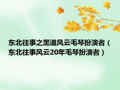 东北往事之黑道风云毛琴扮演者（东北往事风云20年毛琴扮演者）