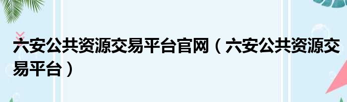 六安公共资源交易平台官网（六安公共资源交易平台）