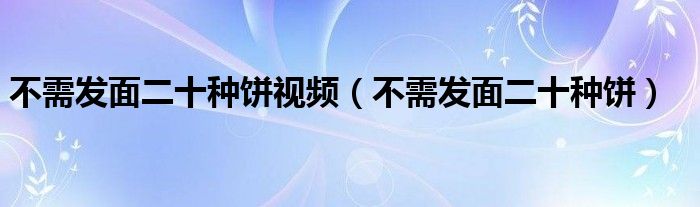  不需发面二十种饼视频（不需发面二十种饼）