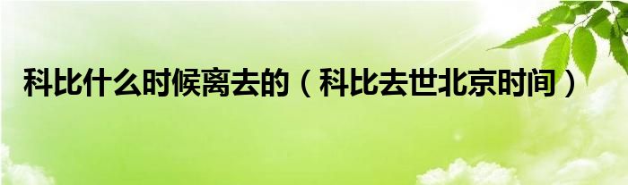  科比什么时候离去的（科比去世北京时间）