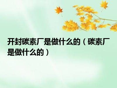 开封碳素厂是做什么的（碳素厂是做什么的）