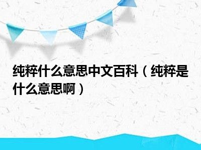 纯粹什么意思中文百科（纯粹是什么意思啊）