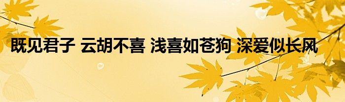  既见君子 云胡不喜 浅喜如苍狗 深爱似长风