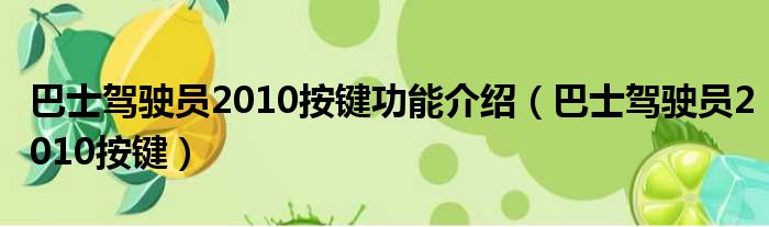 巴士驾驶员2010按键功能介绍（巴士驾驶员2010按键）