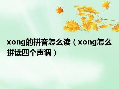 xong的拼音怎么读（xong怎么拼读四个声调）