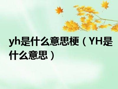 yh是什么意思梗（YH是什么意思）