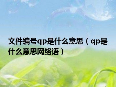 文件编号qp是什么意思（qp是什么意思网络语）