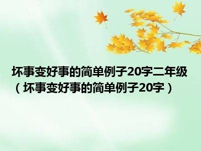 坏事变好事的简单例子20字二年级（坏事变好事的简单例子20字）