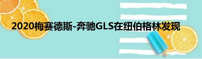 2020梅赛德斯-奔驰GLS在纽伯格林发现