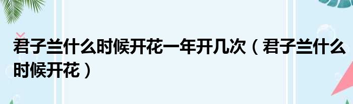 君子兰什么时候开花一年开几次（君子兰什么时候开花）