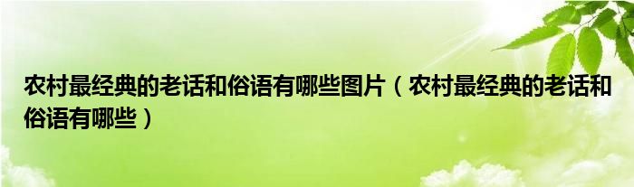 农村最经典的老话和俗语有哪些图片（农村最经典的老话和俗语有哪些）