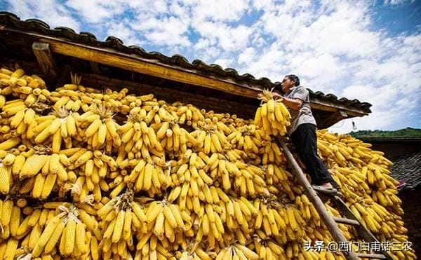 我国粮食储存量能维持多少年（中国粮食储备够吃几年时间）(图2)