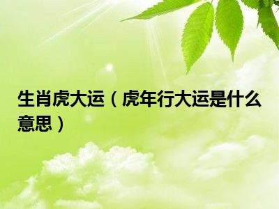 生肖虎大运（虎年行大运是什么意思）