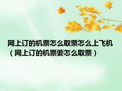 网上订的机票怎么取票怎么上飞机（网上订的机票要怎么取票）